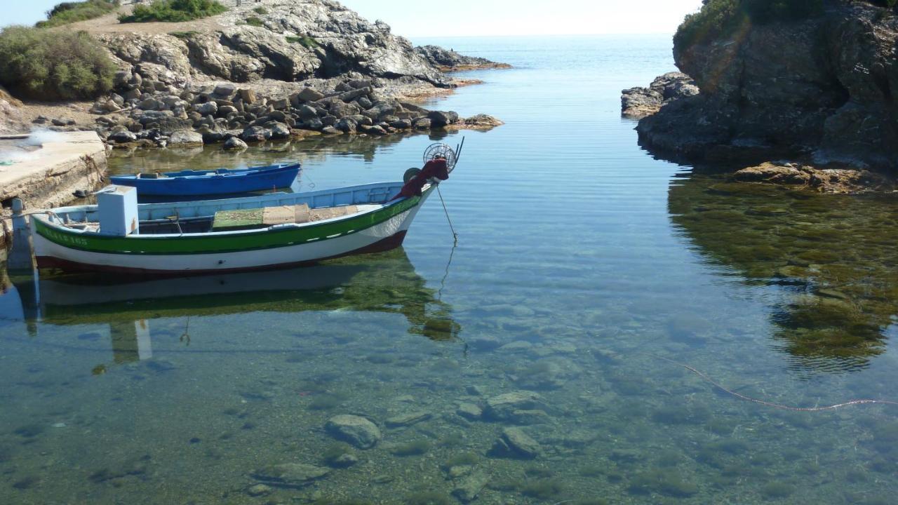 Les Pucines T2 Bas De Villa Six-Fours-les-Plages Kültér fotó